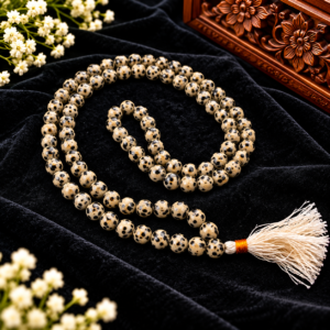 Dalmention Japmala