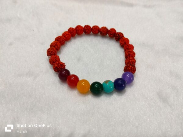 Rudhrax 7 Chakra