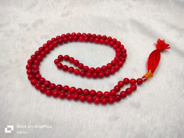 Coral Japmala