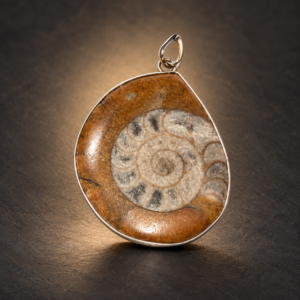 Amonitr Fossil Pendant