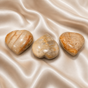Sea Coral Heart Stone