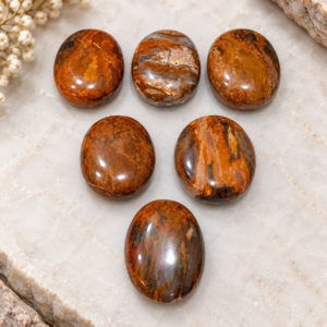 Petrified Wood Palm Stone