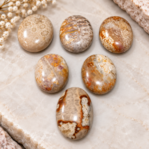 Sea Coral Palm Stone