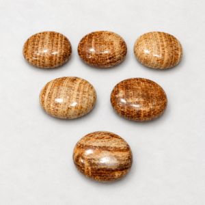 Aragonite Palm Stone