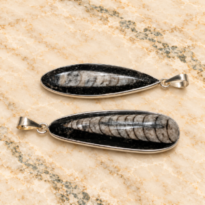 Orthoceras (Kuber) Pendant