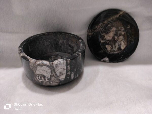 Orthoceras (Kuber) Round Bowl