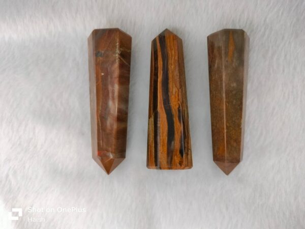 Petrified Wood Jembo