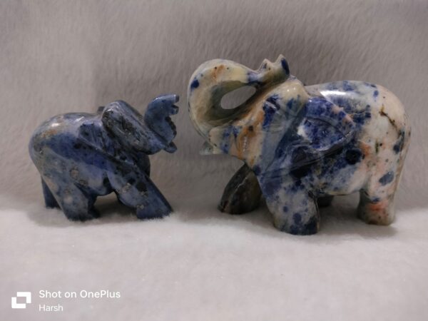 Sodalite Elephant
