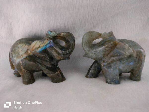 Labradorite Elephant