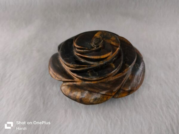Tiger Eye Flower
