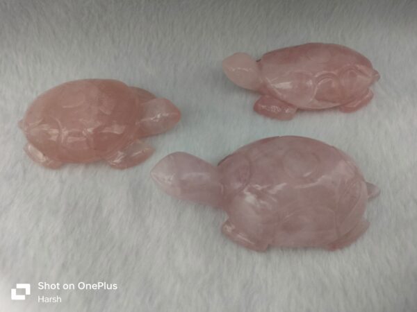 Rose Quartz Tortoise | Per Gram