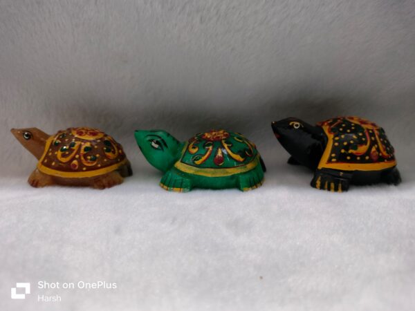 Painting Tortoise | Per Gram