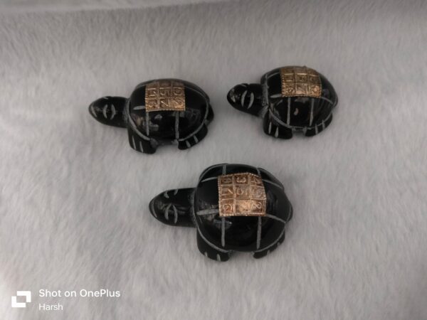 Black Agate Tortoise | Per Pcs