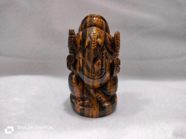 Tiger Eye Ganesh Ji