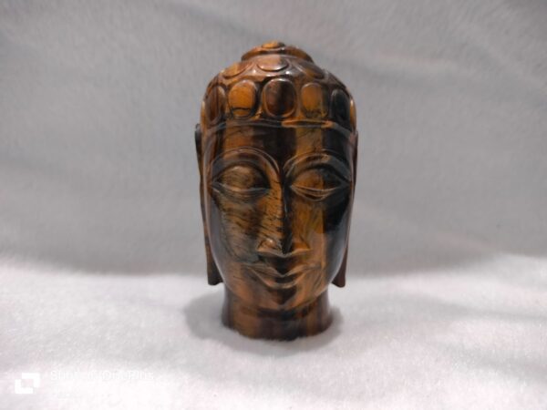 Tiger Eye Buddha Head