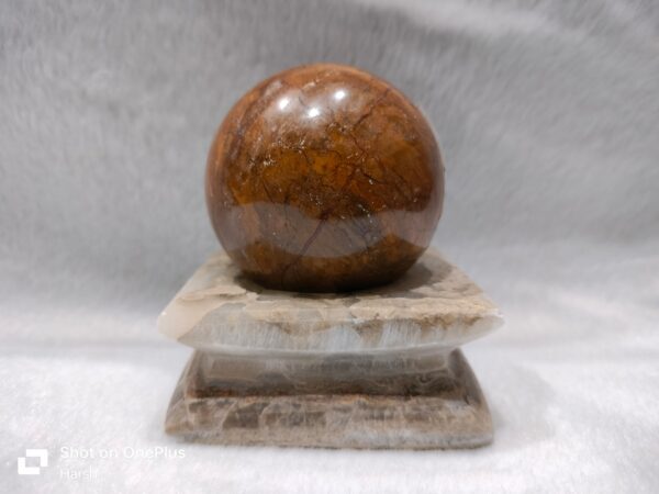 Petrified Wood Sphere
