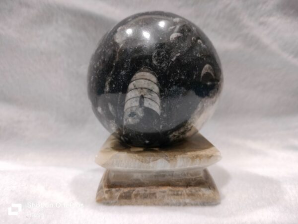 Orthoceras Sphere