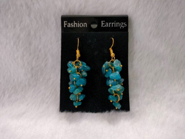 Apetite Uncut Earing