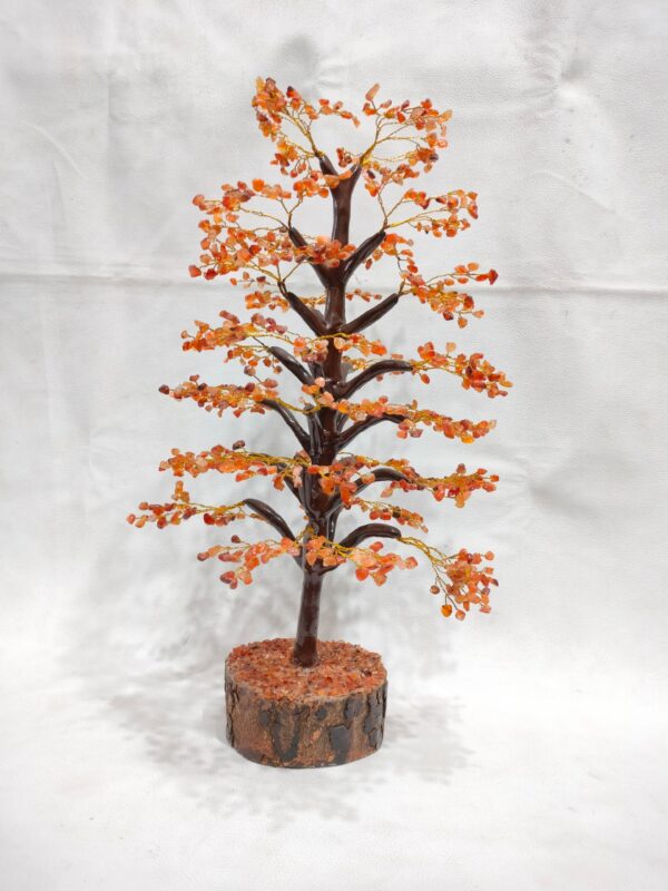 Red Carnelian Tree
