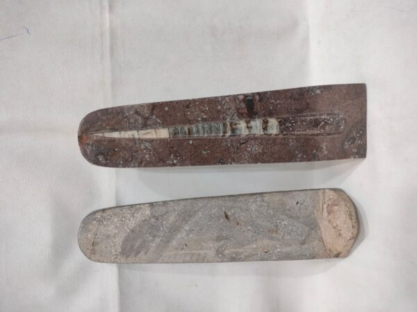 Orthoceras Point