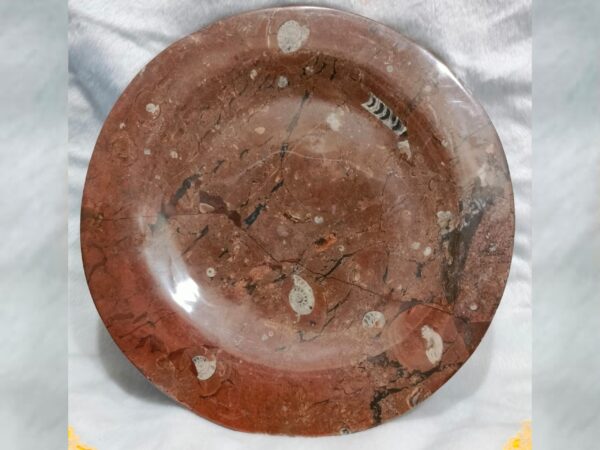Amonite Plate