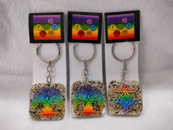 Dalmention Organ Keychains With Reiki Symbol