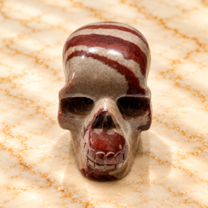 Narmedeswar Skull