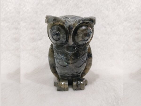 Labradorite Owl