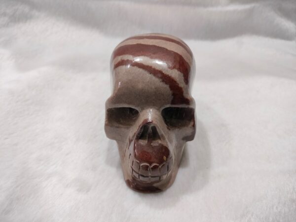 Narmedeswar Skull